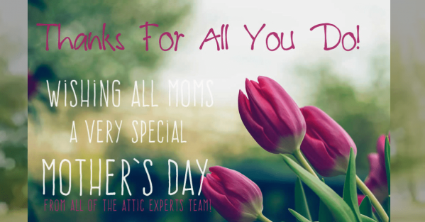 Happy Mothers Day Tulips Greeting