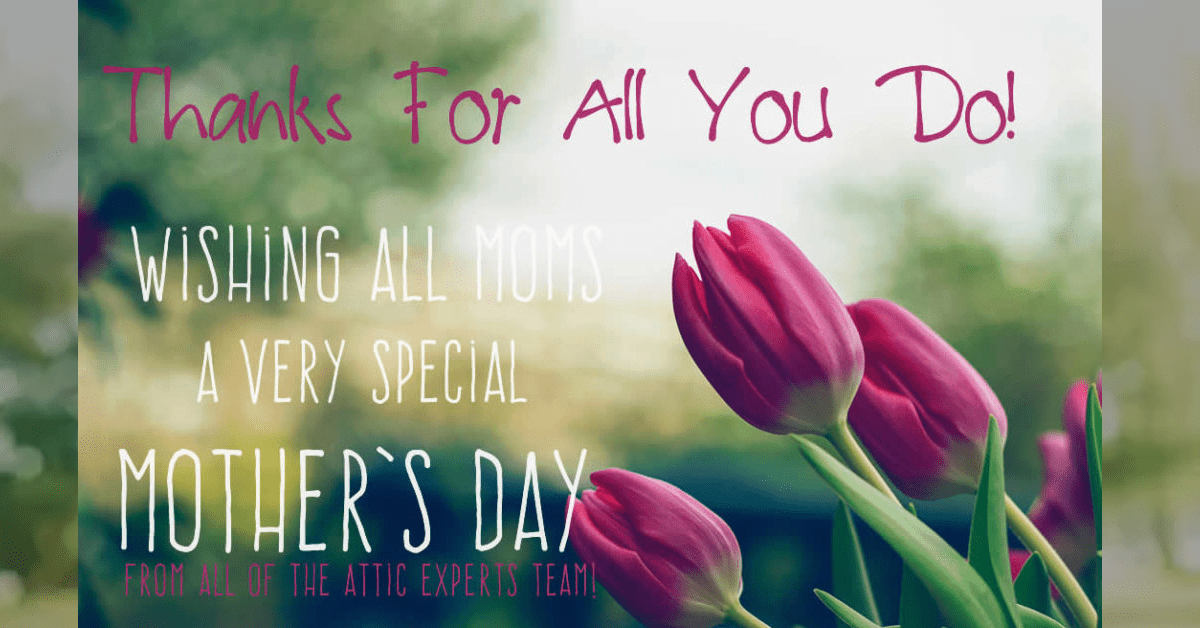 Happy Mothers Day Tulips Greeting