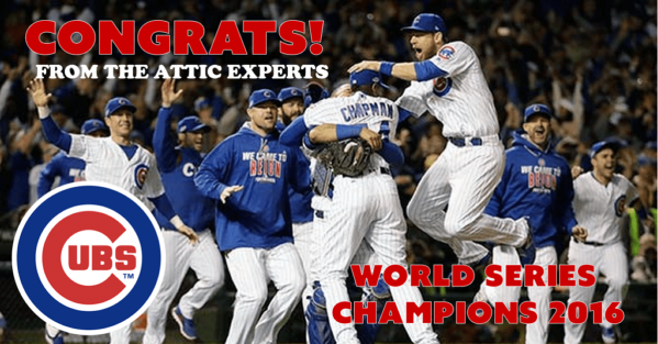 Congrats Cubs Image