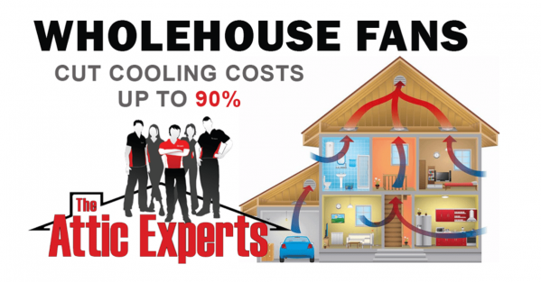 Keep Cool Infographic