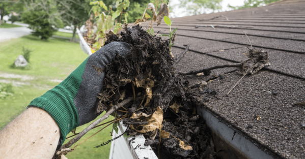 Gutter Cleaning Picture