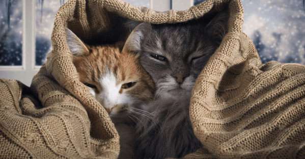 keep your home warmer in winter