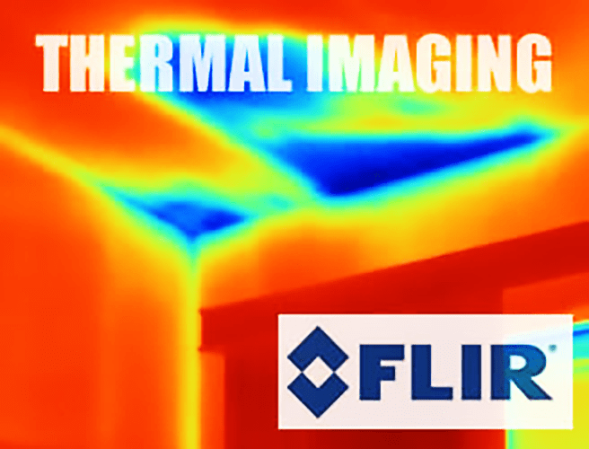 flir thermal imaging photo