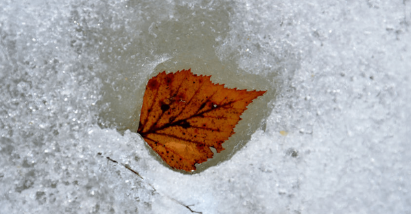 Freezing Ice Image
