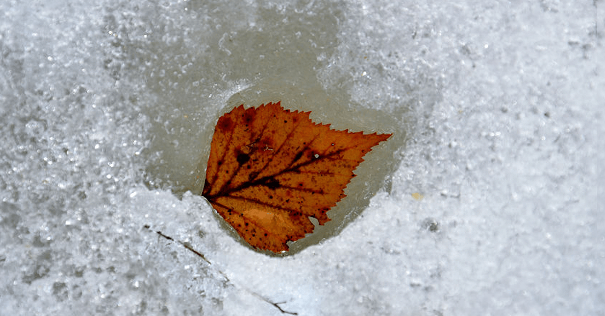 Freezing Ice Image